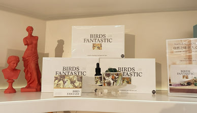 Transform Your Space, Elevate Your Spirit