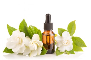 Scent Symphony - Best Friends Edition