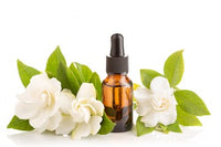 Scent Symphony - Best Friends Edition