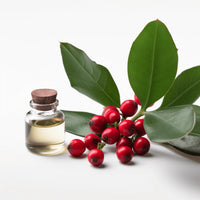 Scent Symphony - Best Friends Edition